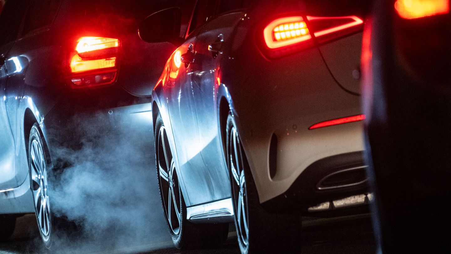 Auch ab 2040 wird es Webers Angaben zufolge kein 100-Prozent-Ziel geben. (Symbolbild) Foto: Marjian Murat/dpa