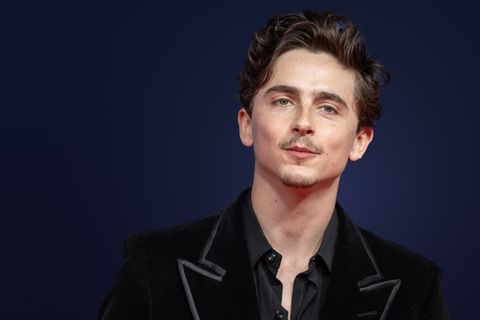 Die Theorien um sein heimliches Leben als britischer Rapper machen Timothée Chalamet offenbar Spaß.
