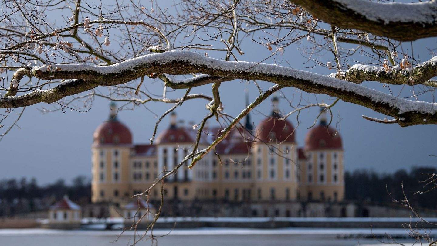 Investitionen-Zeitz-investiert-Millionen-in-Schlosspark-Moritzburg