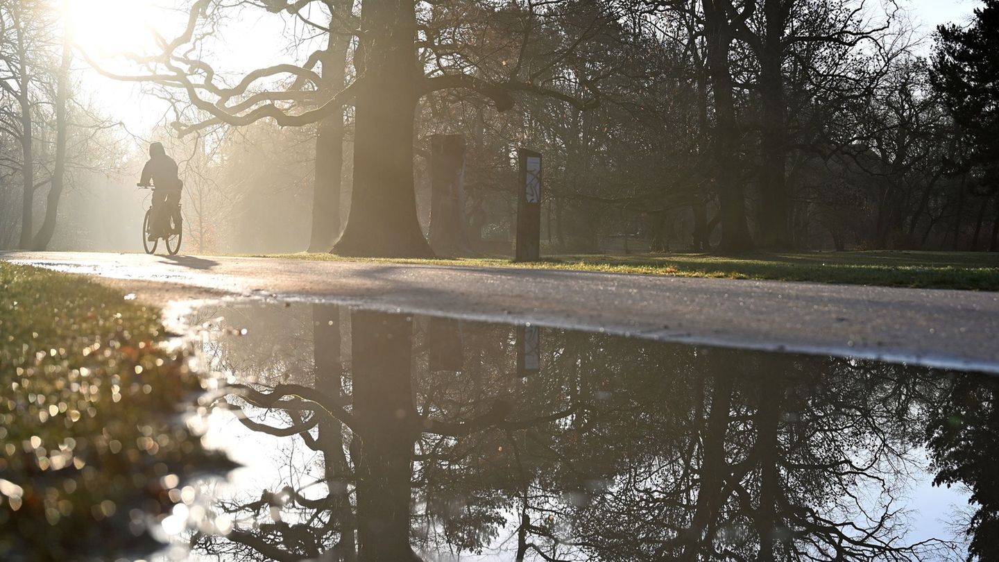 Bis in die Morgenstunden ist noch mit Nebel zu rechnen. (Symbolbild) Foto: Jennifer Brückner/dpa
