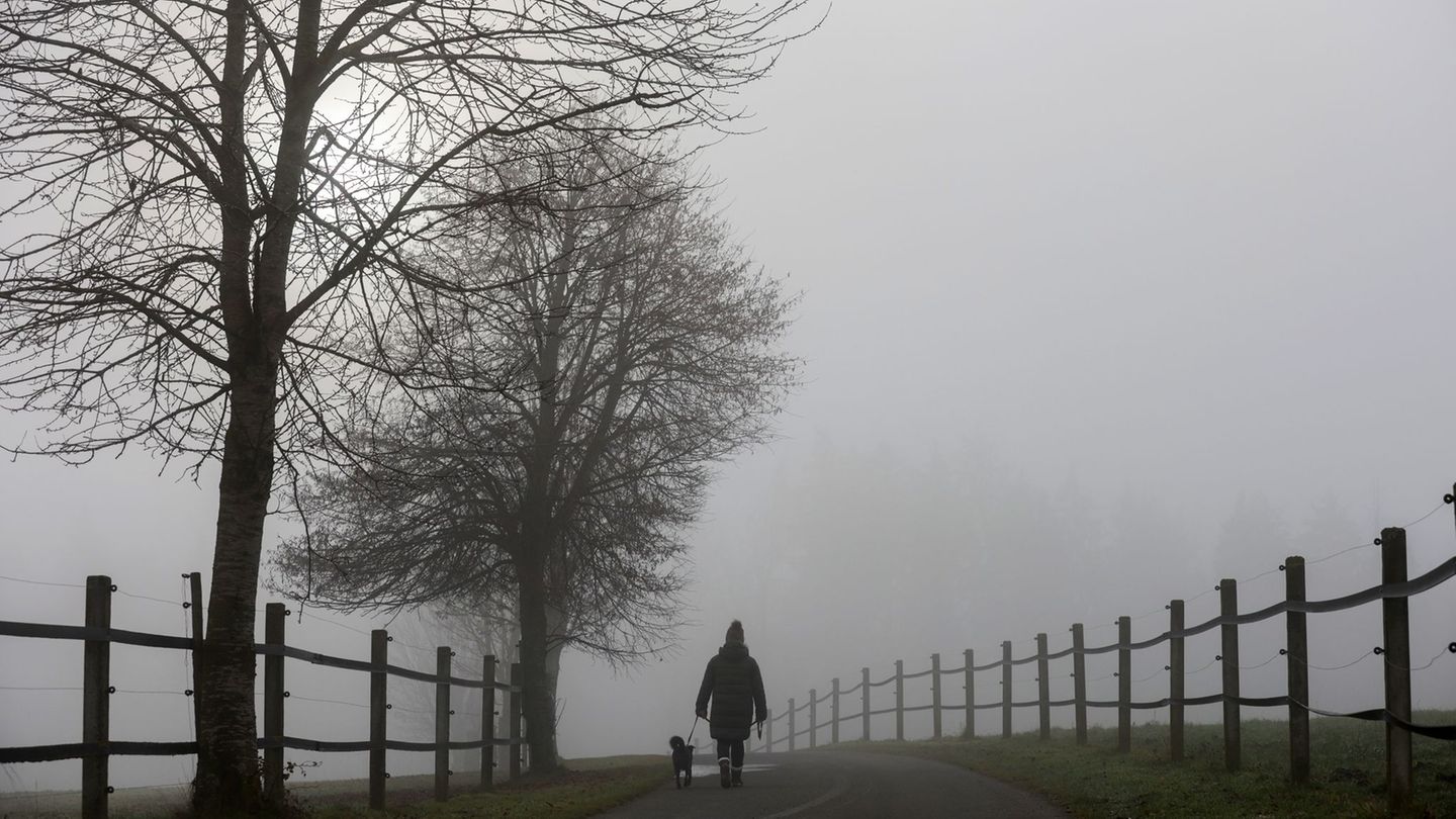 Es gibt wieder Nebel in den kommenden Tagen. (Archivbild) Foto: Thomas Warnack/dpa