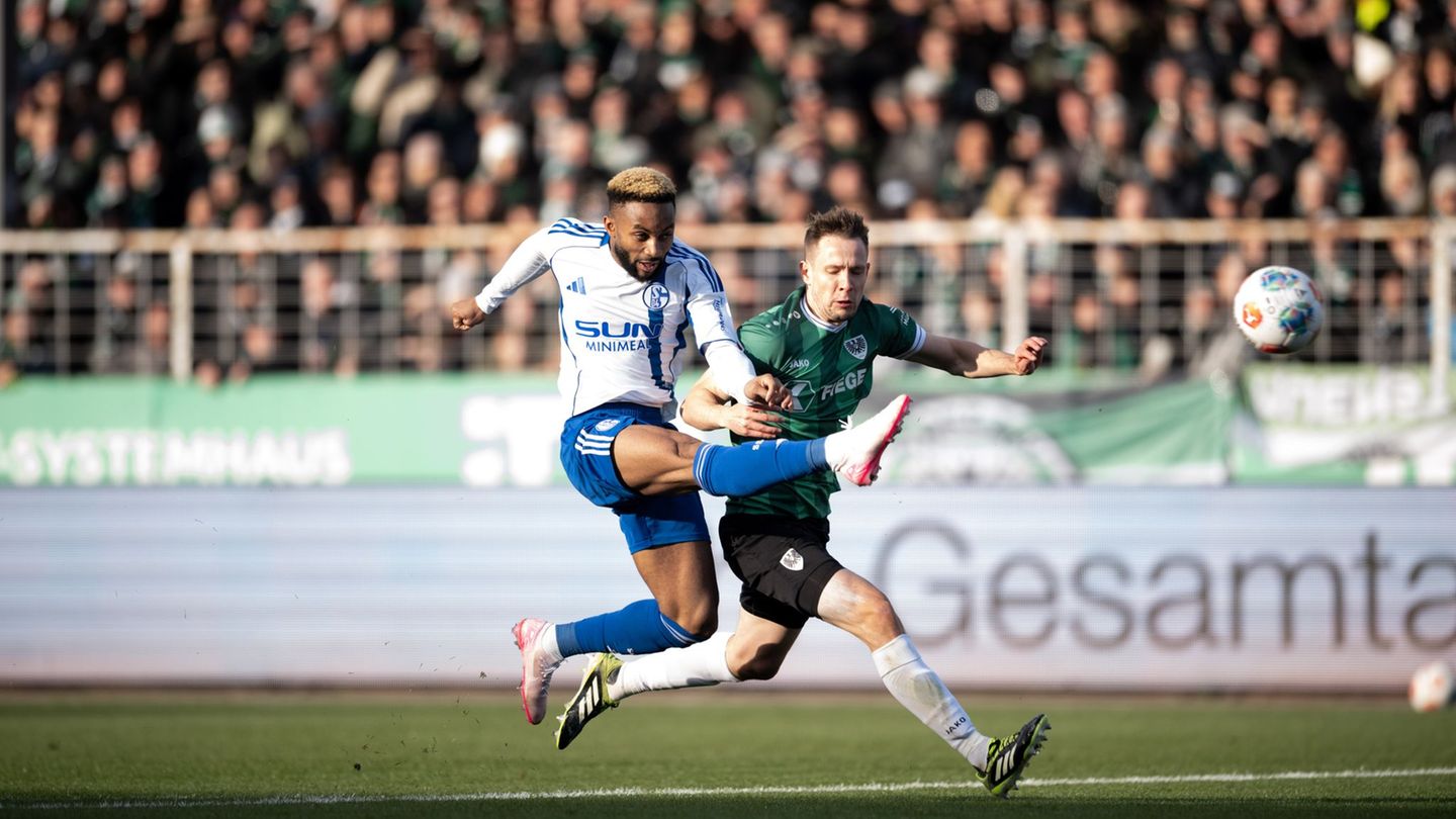 Moussa Sylla (l.) bleibt in Gelsenkirchen. (Archivbild) Foto: Fabian Strauch/dpa