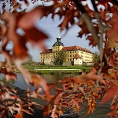 Die Stadt Zeitz will rund drei Millionen Euro in die Weiterentwicklung des Schlossparks Moritzburg investieren. Foto: picture al