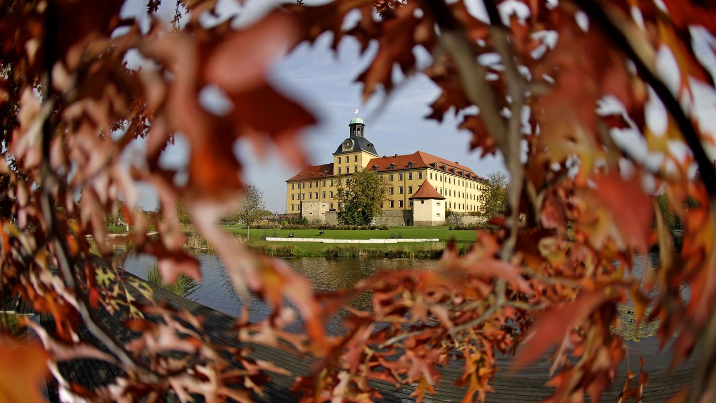Die Stadt Zeitz will rund drei Millionen Euro in die Weiterentwicklung des Schlossparks Moritzburg investieren. Foto: picture al