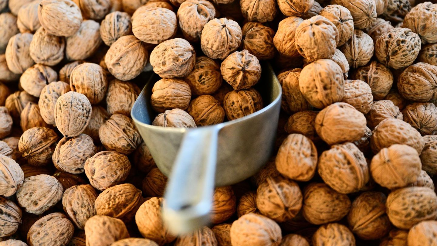 Tausende Tonnen Nüsse werden jedes Jahr nach Hamburg importiert. (Archivbild) Foto: Sebastian Gollnow/dpa