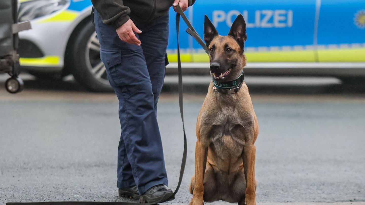 Wegen des Umfangs und der Art der Ladung wurde das Auto bei einer Dienststelle detailliert kontrolliert und mit einem Diensthund