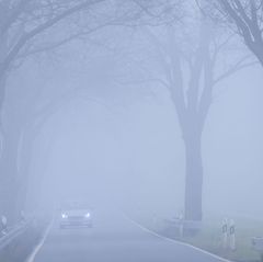 Dichter Nebel sorgte dafür, dass ein Schulbusfahrer die Abzweigung verpasste. (Symbolbild) Foto: Jens Büttner/dpa