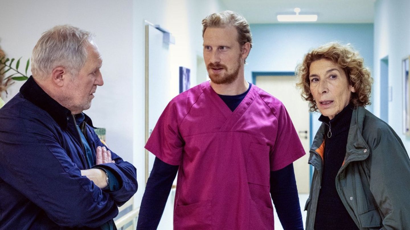 Harald Krassnitzer (l.) und Adele Neuhauser (hier mit Michael Edlinger) ermitteln im Wiener-"Tatort: Der Elektriker" in einem