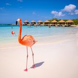 Renaissance Island, Aruba