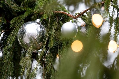 Auch der Christbaumschmuck, die Lichterkette und ein angrenzender Holzzaun wurden beschädigt. (Symbolbild) Foto: Fabian Sommer/d