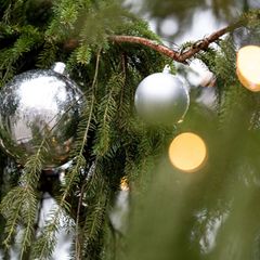 Auch der Christbaumschmuck, die Lichterkette und ein angrenzender Holzzaun wurden beschädigt. (Symbolbild) Foto: Fabian Sommer/d