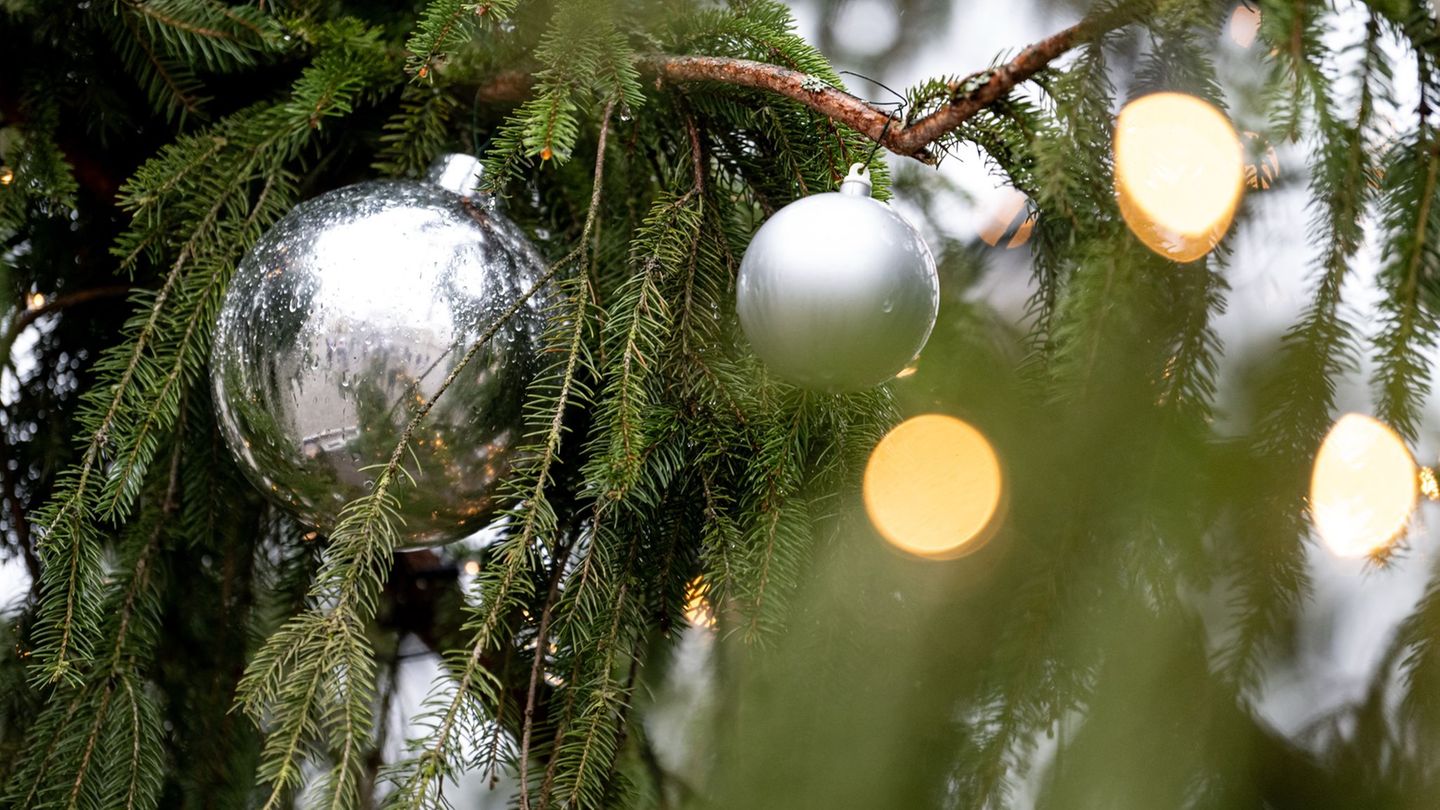 Auch der Christbaumschmuck, die Lichterkette und ein angrenzender Holzzaun wurden beschädigt. (Symbolbild) Foto: Fabian Sommer/d