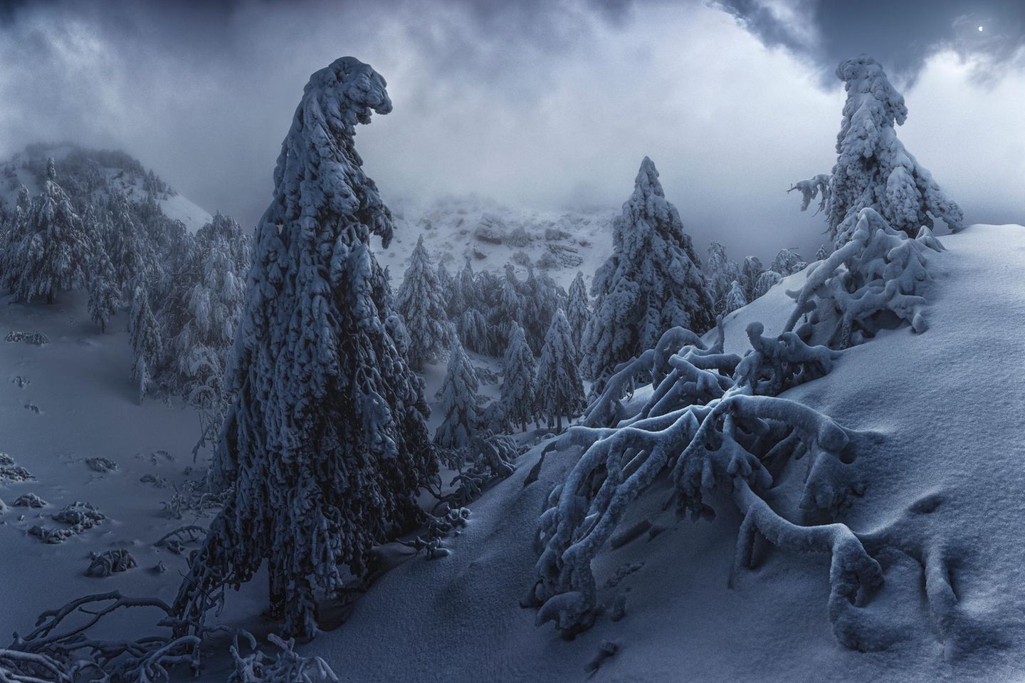 Ein verschneites Waldstück in Mittelitalien