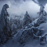 Ein verschneites Waldstück in Mittelitalien