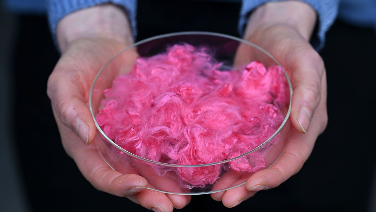 Gefärbte Lyohemp-Fasern werden präsentiert während der Einweihung des "Demonstration and Innovation Center for Textile Circular