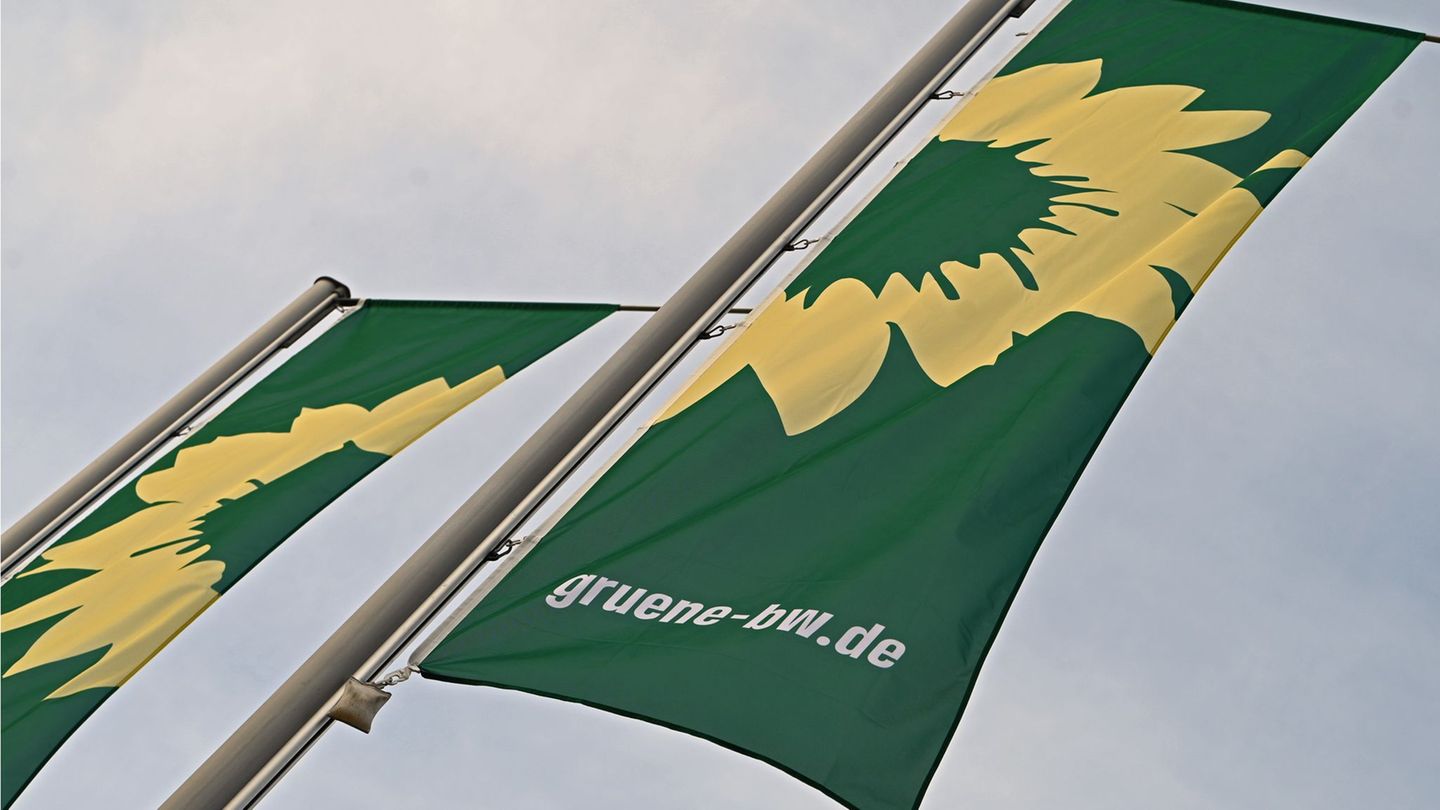 Die Grünen befassen sich am Wochenende mit ihrem Wahlprogramm für die Landtagswahl. (Archivbild) Foto: Helena Dolderer/dpa