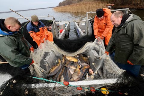 CC Foto: Bernd Wüstneck/dpa