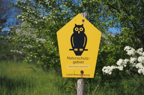 Von Naturschutzpionieren aus Bad Freienwalde entwickelt: Die bekannte Naturschutz-Eule. Foto: Soeren Stache/dpa-Zentralbild/ZB