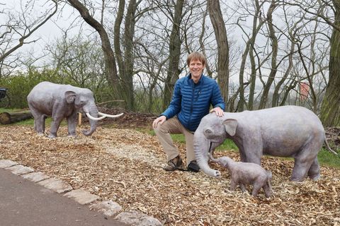 Der Künstler Thomas Lindner ist am 7. Dezember gestorben, der vielseitig engagierte geborene Dresdner prägte mit seinen Metallsk