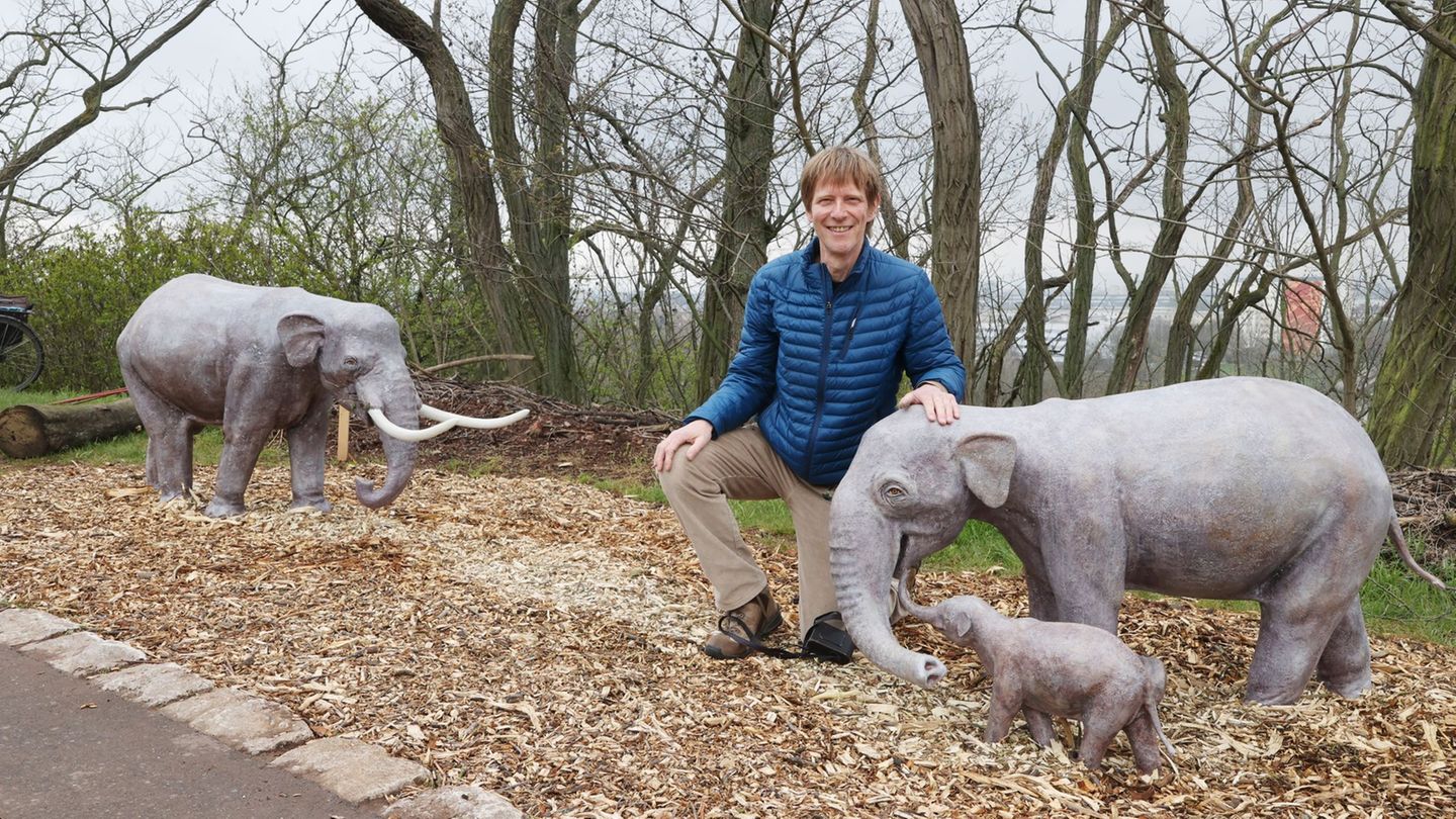 Der Künstler Thomas Lindner ist am 7. Dezember gestorben, der vielseitig engagierte geborene Dresdner prägte mit seinen Metallsk