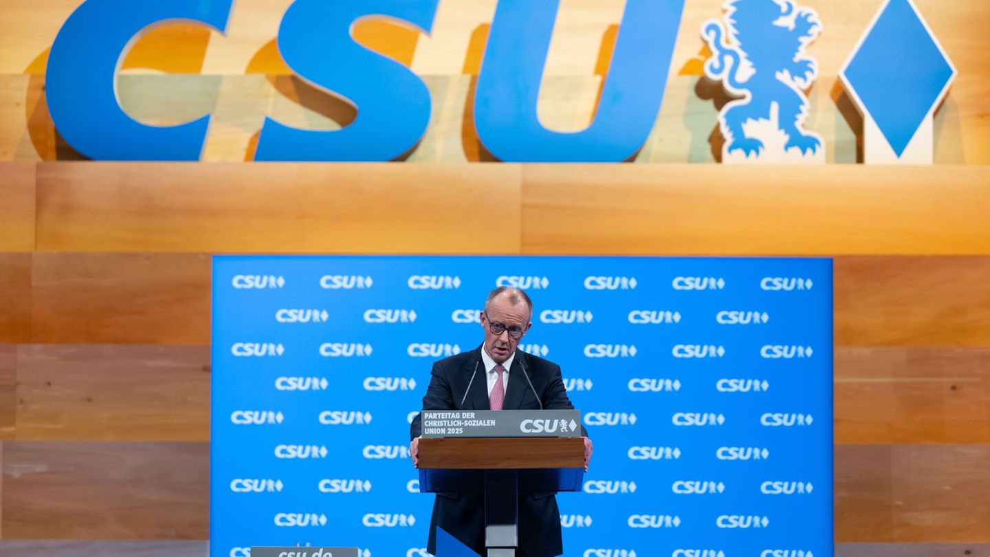 Friedrich Merz glaubt an den Erfolg der Koalition. Foto: Sven Hoppe/dpa