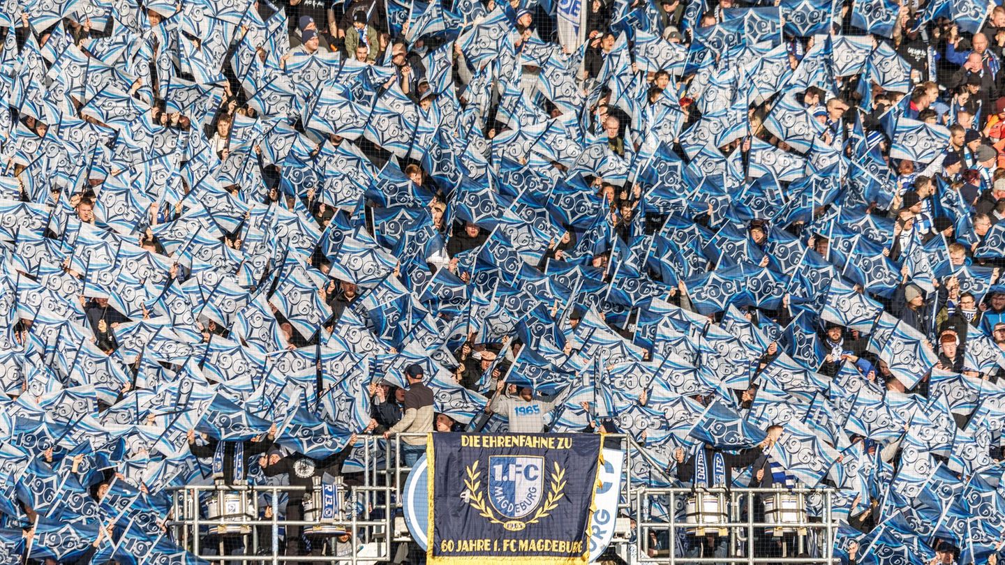 Zum 60. Vereinsgeburtstag wurde im gesamten Stadion gefeiert Foto: Andreas Gora/dpa