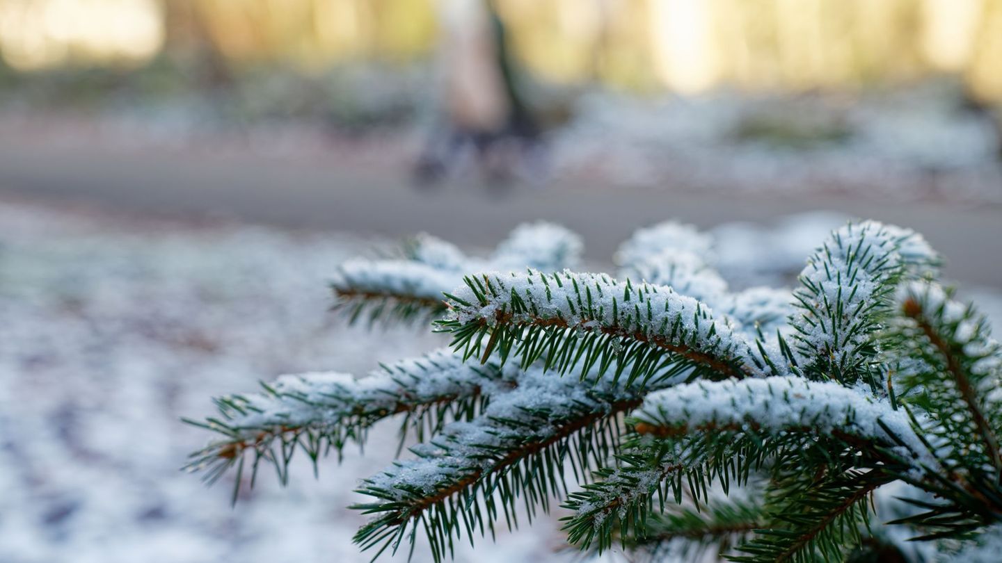 Die Chancen auf weiße Weihnachten sind in der vergangenen Zeit zunehmend gesunken. (Archivbild) Foto: Uwe Anspach/dpa
