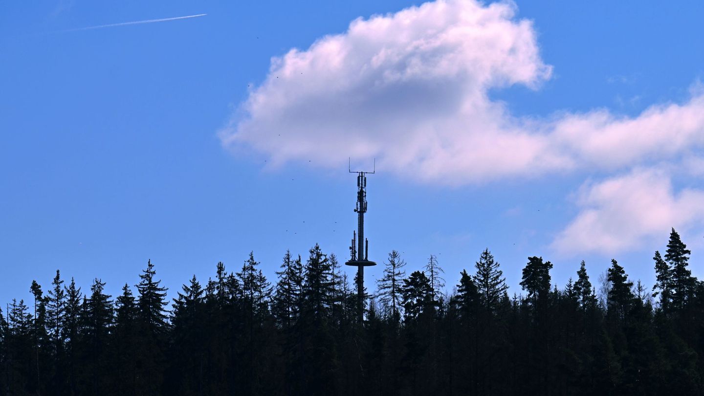 In schwer zugänglichen Gegenden wie im Pfälzer Wald, Hunsrück und Westerwald soll die Mobilfunkverbindung besser werden. (Archiv