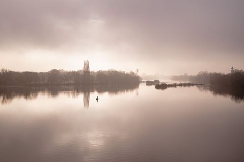 Wer sich nach der Sonne sehnt, kann sich laut einer Vorhersage des DWD auf Montag freuen. Foto: Uwe Anspach/dpa