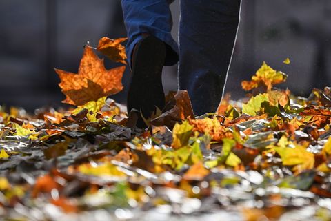 Kommende Woche erwartet der Deutsche Wetterdienst bis zu elf Grad und wieder mehr Sonne in Rheinland-Pfalz und im Saarland. (Sym