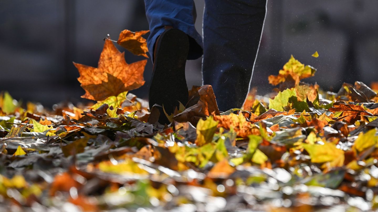 Wetter-Heiteres-Wetter-zum-Wochenstart-in-Rheinland-Pfalz