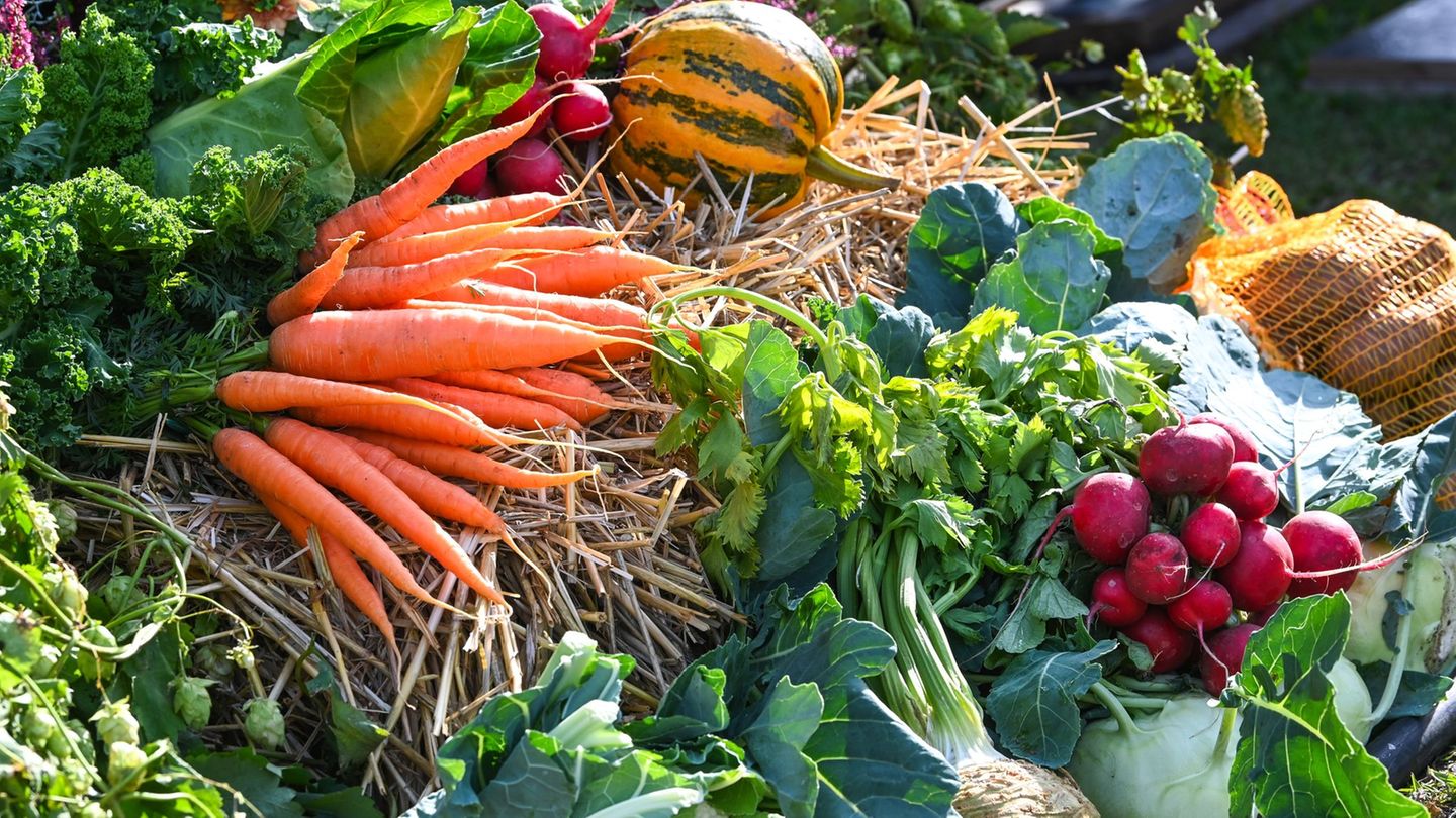 Ein neues Förderprogramm soll Thüringer Landwirten helfen, ihre Produkte etwa auf Messen besser zu bewerben. (Symbolbild) Foto: