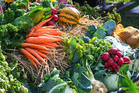 Ein neues Förderprogramm soll Thüringer Landwirten helfen, ihre Produkte etwa auf Messen besser zu bewerben. (Symbolbild) Foto: