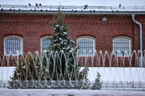 Vor Weihnachten gibt es in Mecklenburg-Vorpommern alljährlich eine Amnestie für einige Gefangene mit kürzeren Strafen. Foto: Jan