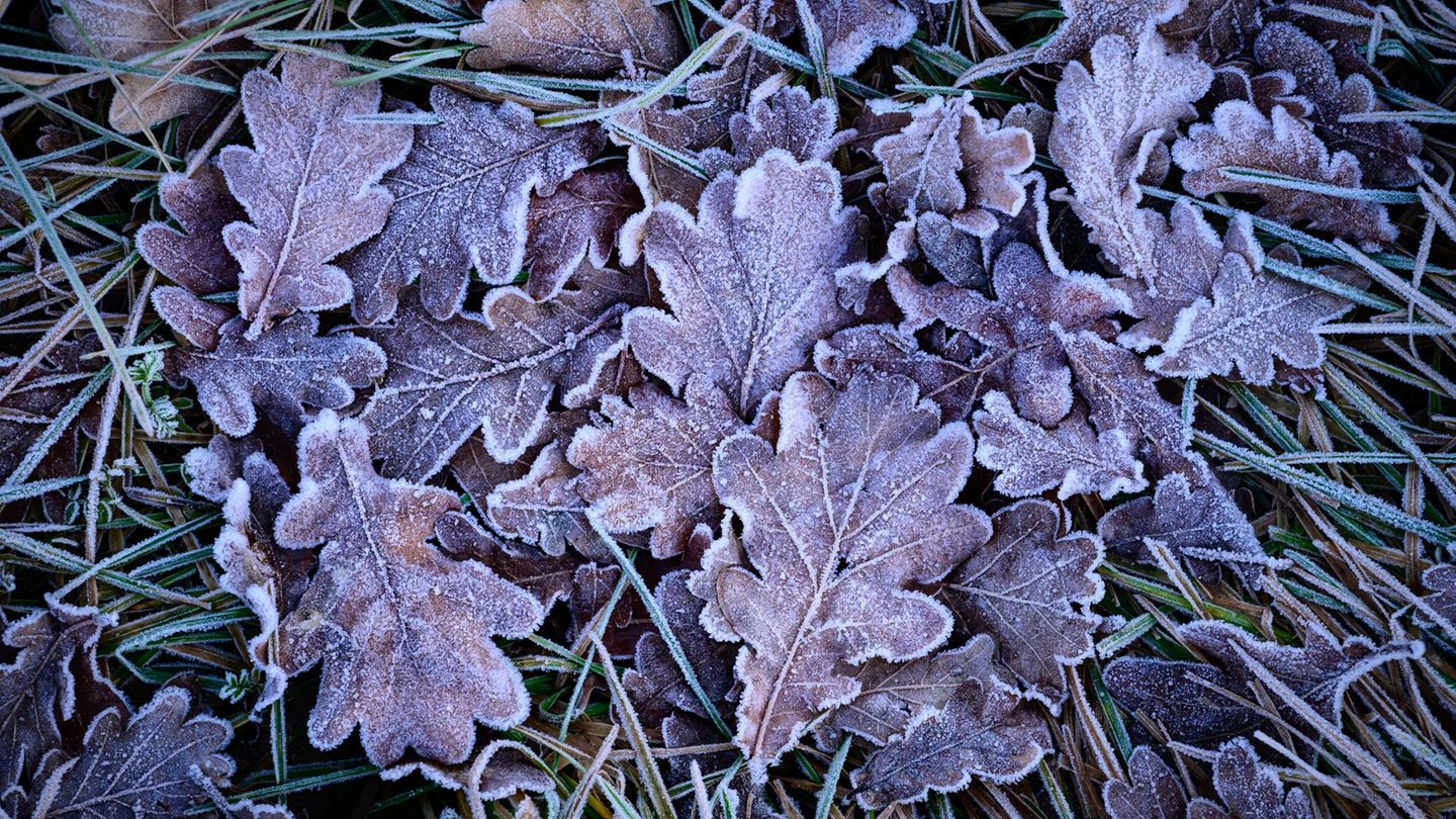 In der Nacht zum Dienstag kann es laut Deutschem Wetterdienst (DWD) gebietsweise zu leichtem Frost bis minus zwei Grad kommen. (