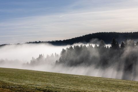 Sobald sich der Nebel verzieht, scheint vielerorts die Sonne. (Symbolbild) Foto: Philipp von Ditfurth/dpa