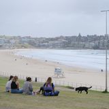 Am Tag nach dem Anschlag blicken Menschen auf den Bondi Beach – jenen Platz, der vom Feier- zum Tatort wurde
