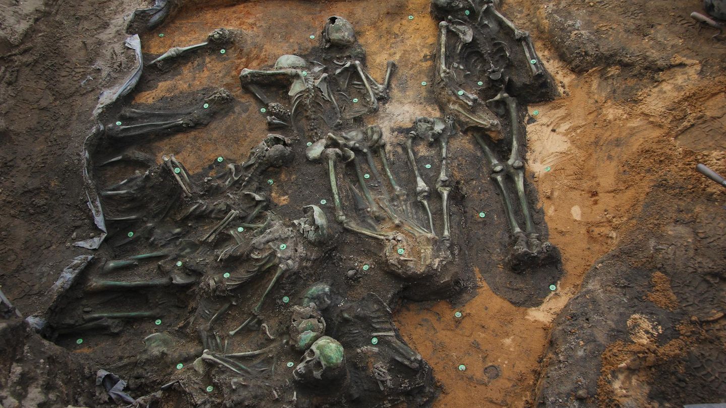 Pestfriedhof Bestattung