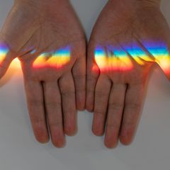 Spiegelbildliches Leben – Analogie: Die zwei Hände einer Person nebeneinander