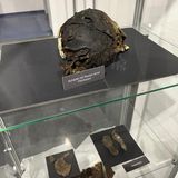 Pestfriedhof Lederkappe