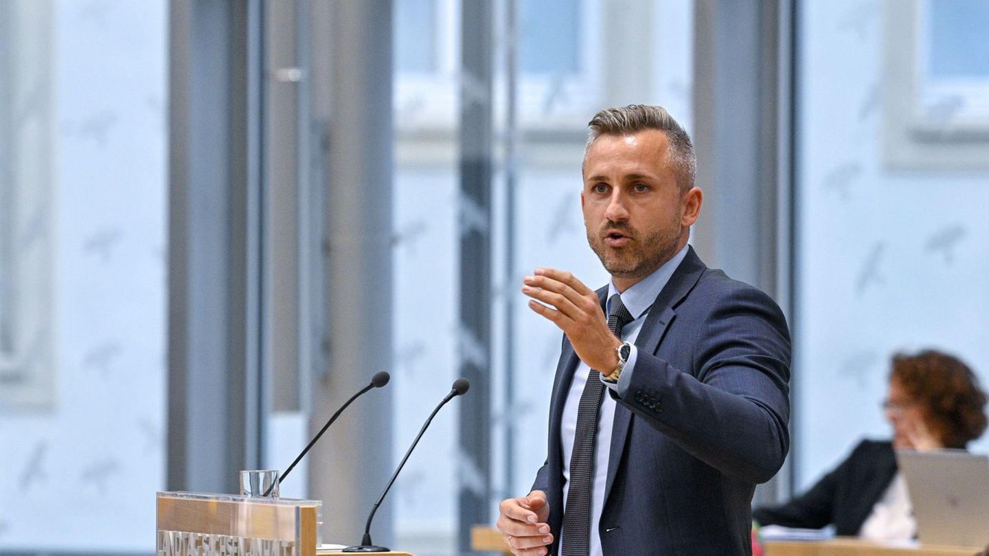 Co-Fraktionschef Siegmund wies Kritik an der AfD wegen der USA-Reise zurück. (Archivbild) Foto: Klaus-Dietmar Gabbert/dpa