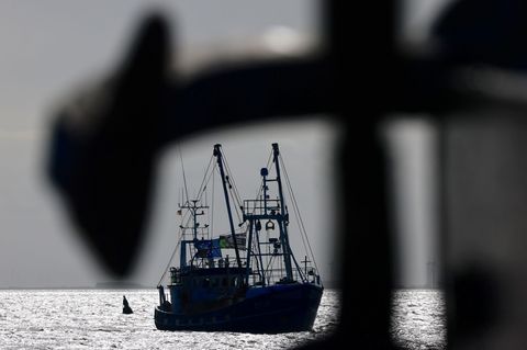 Fischer warten jährlich auf die EU-Entscheidungen zu erlaubten Fangmengen. (Symbolbild) Foto: Frank Molter/dpa