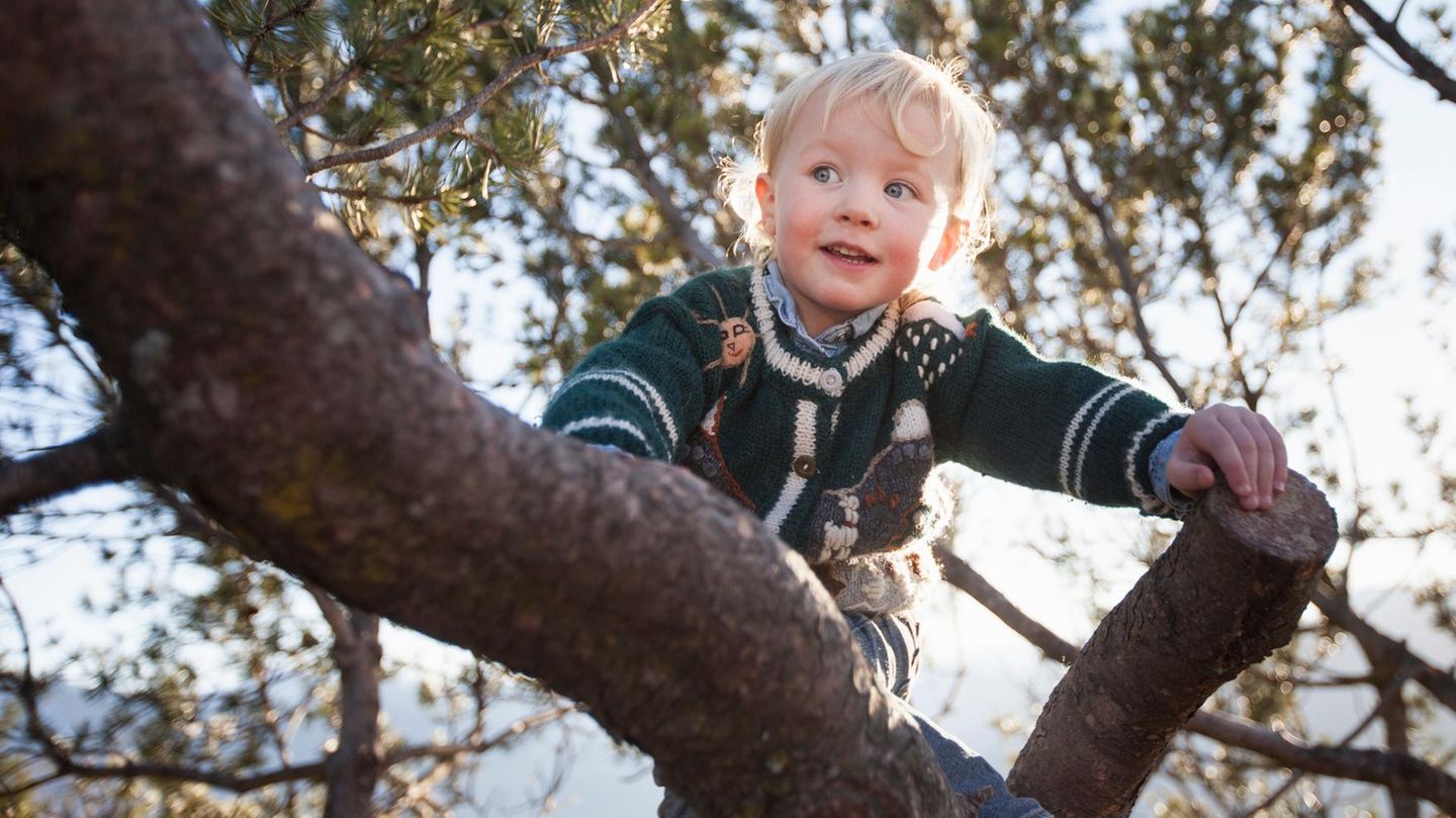 Klettern ist gut für die Kindergesundheit. Es stärkt das Körpergefühl und das Zutrauen in die eigenen Fähigkeiten