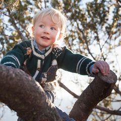 Klettern ist gut für die Kindergesundheit. Es stärkt das Körpergefühl und das Zutrauen in die eigenen Fähigkeiten