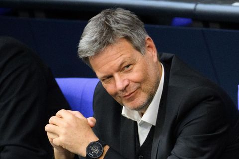 Ex-Vizekanzler Robert Habeck seiner Zeit im Bundestag (Archivbild)