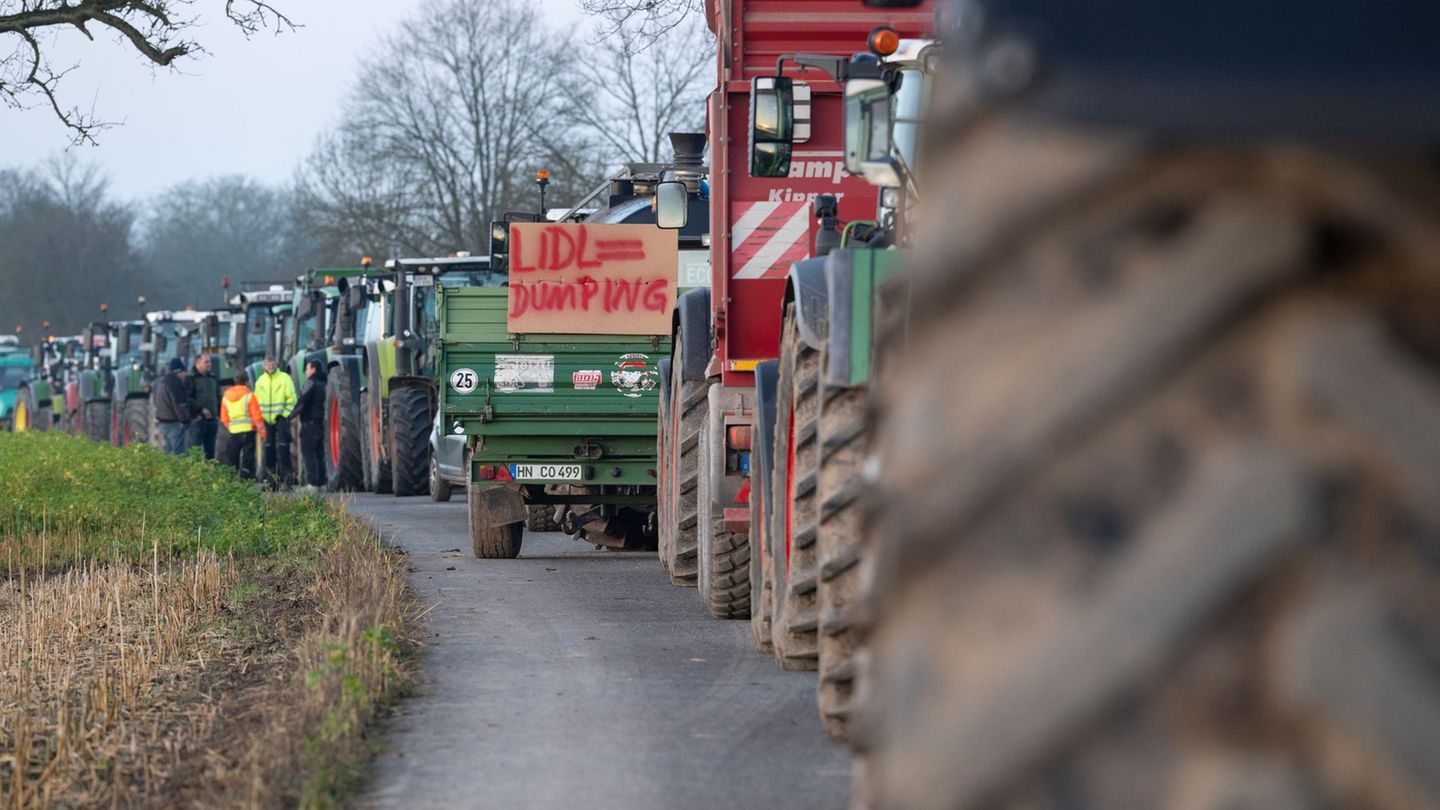 Aus Verärgerung über die Preispolitik des Discounters Lidl sind Landwirte wieder zu Treckerdemonstrationen gestartet. Foto: Mari