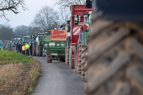 Aus Verärgerung über die Preispolitik des Discounters Lidl sind Landwirte wieder zu Treckerdemonstrationen gestartet. Foto: Mari