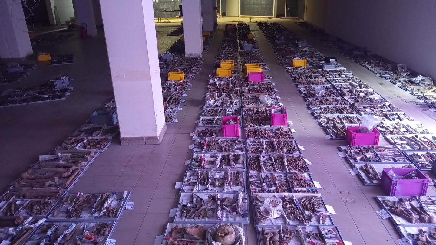 Skelette in Supermarkt Pestfriedhof