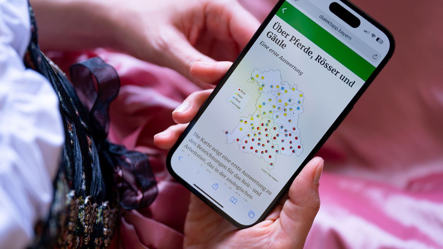 Ein Team aus Wissenschaftlern der Ludwig-Maximilians-Universität (LMU) in München will erforschen, wie sich Dialekte in Bayern e