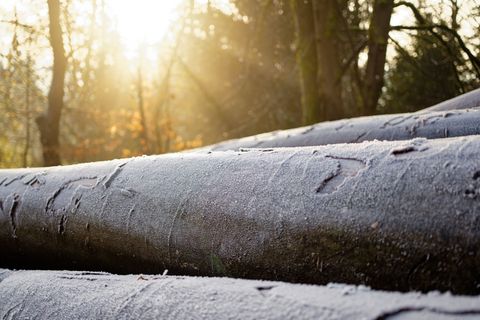 In den Nächten sind örtlich Frost und Reifglätte möglich. Tagsüber sind die Temperaturen aber mild. (Symbolbild) Foto: Uwe Anspa
